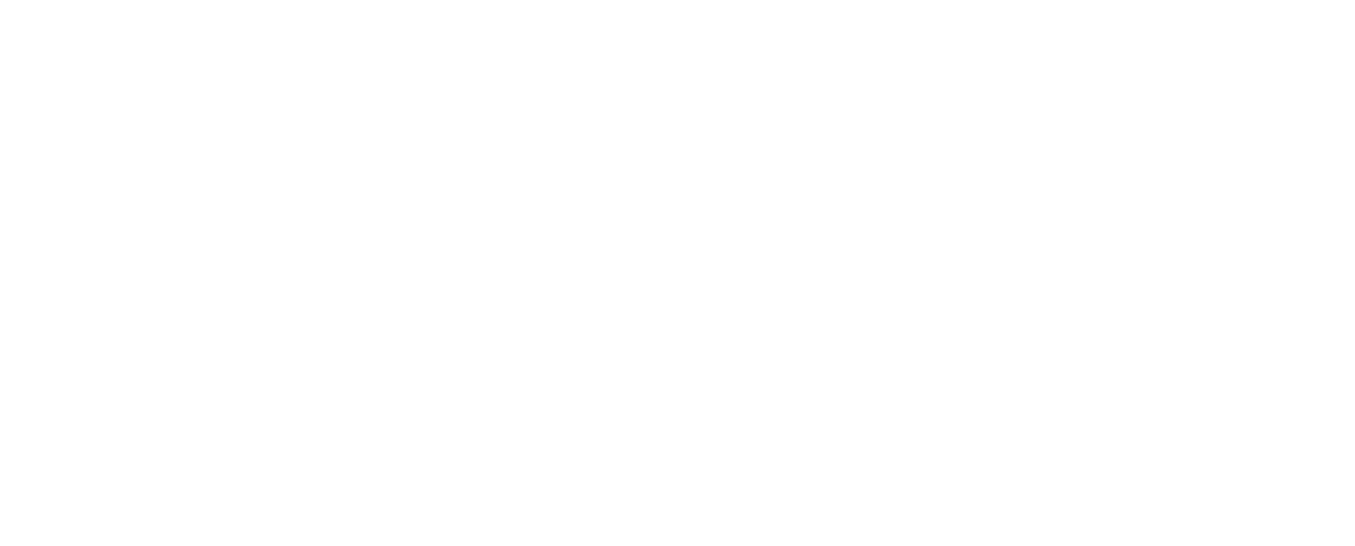 Zeppelin CAT